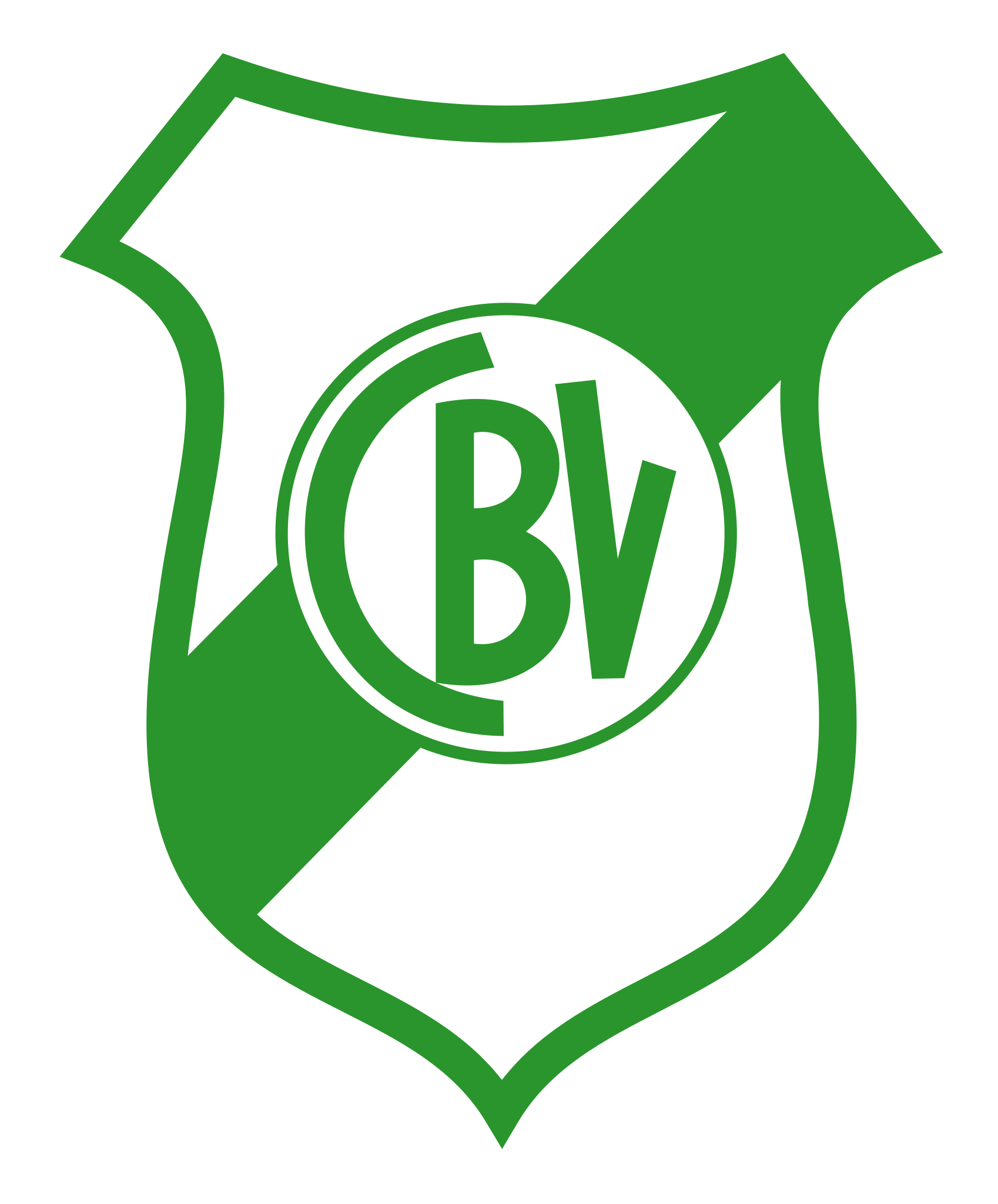 Logo Bella Vista de Bahía Blanca